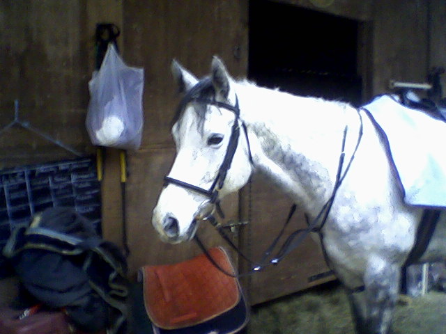 Photo de profil de zezette60