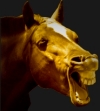 Photo de profil de __balmolok09